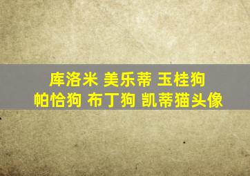 库洛米 美乐蒂 玉桂狗 帕恰狗 布丁狗 凯蒂猫头像